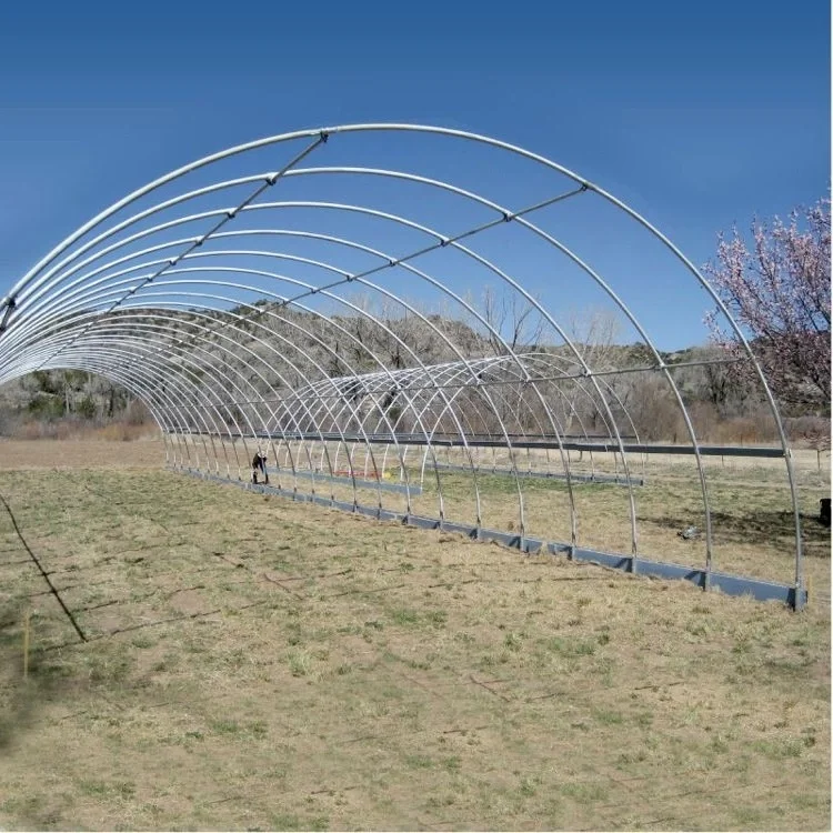Good Quality And Easily Installed Single  span  Agricultural/Commercial PE Film  Tunnel  Green House