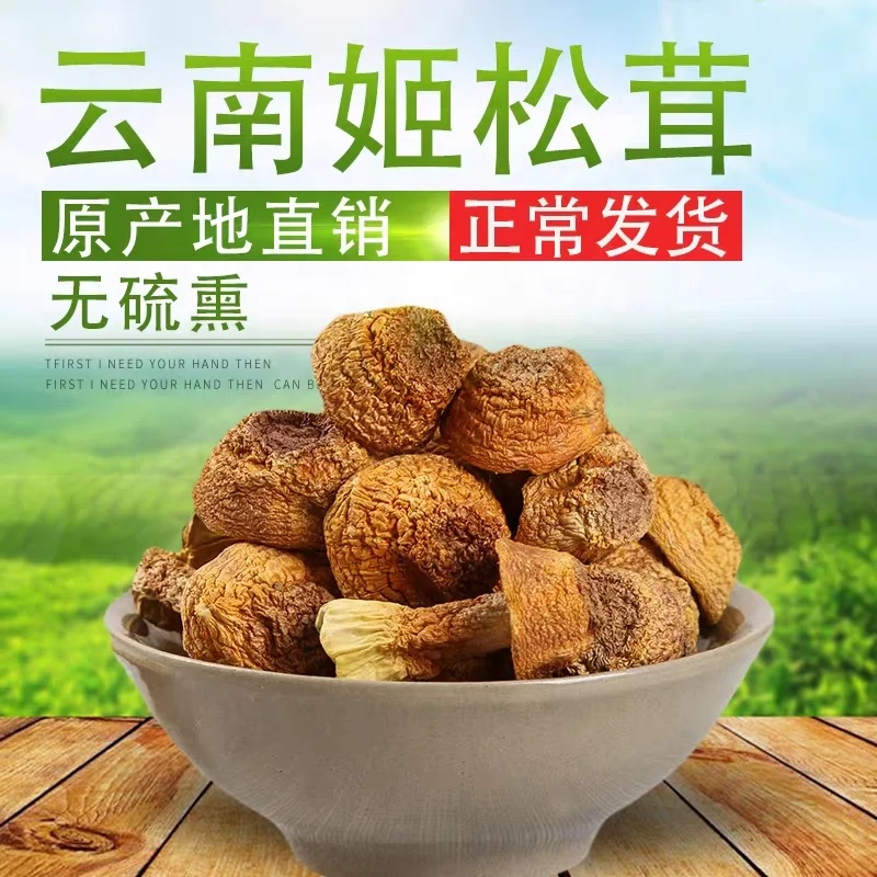 
Fresh Dried Agaricus Subrufescens Blazei Murill Mushroom 