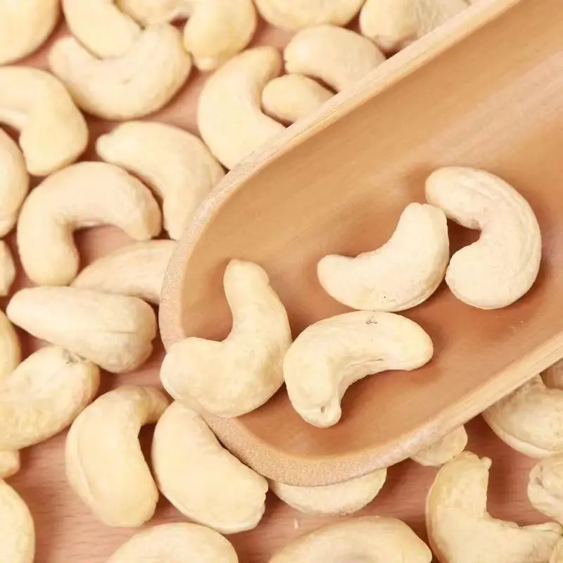 Hot Sale 2022 Roasted Salted Cashew Nuts Kernels in Vietnam