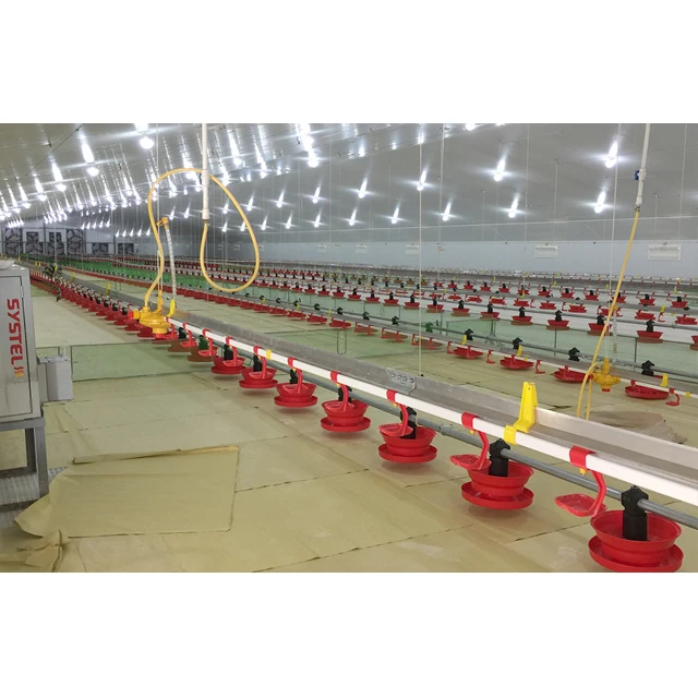 Fully Automatic Broiler poultry house Farming design chicken farm