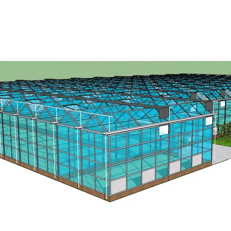 aquaponics system for fish and vegetable