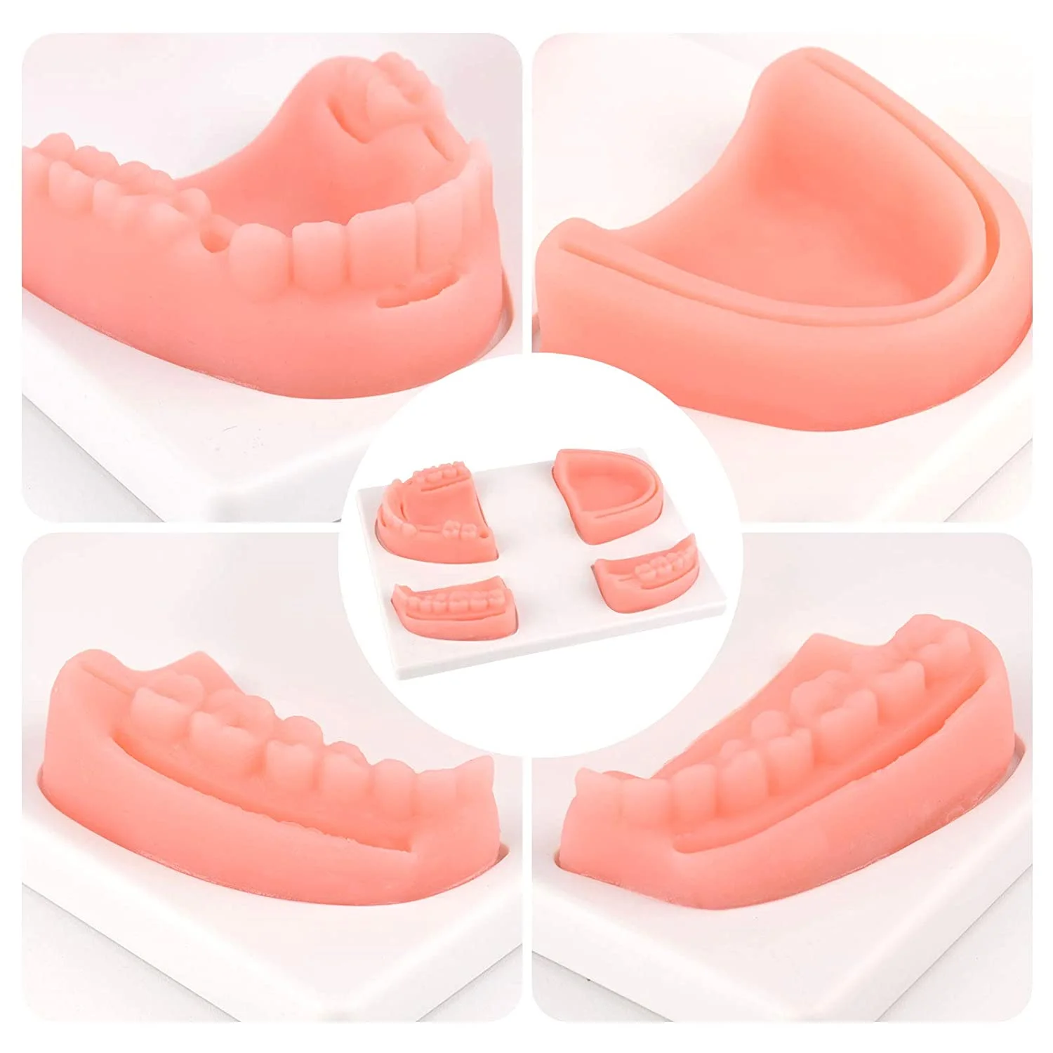 Dentistry School Surgical Simulator Pad Teeth Practice Dental Suture Model Oral School University Students Carton Manikin 230