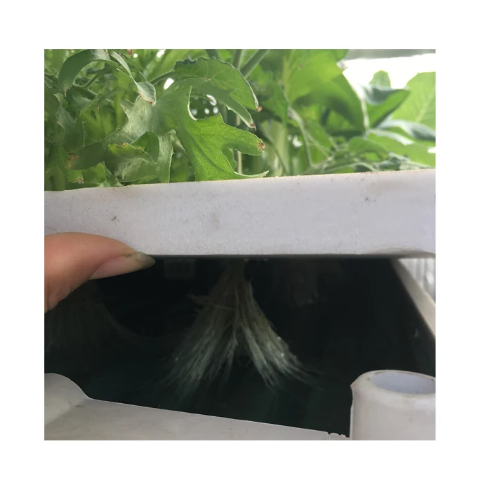 Гидропонная система DWC салатная теплица