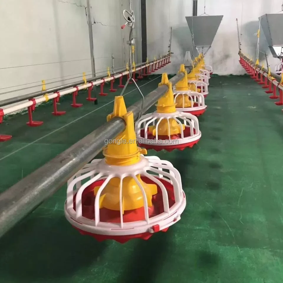 Automatic animal feeders poultry chicken farm feeding line broiler feeding and drinking system