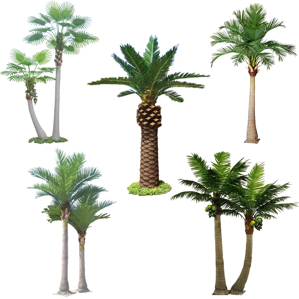 Palm tree.png
