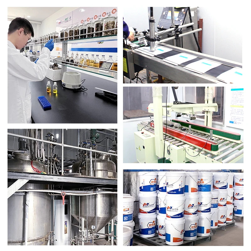 Concentrated cod liver oil liquid for poultry as a premix feed additive for laying hens to increase egg production