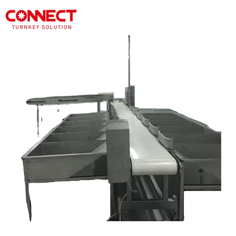 Low Price Weighing & Grading chicken slaughtering machine Equipment for poultry processing plant in south africa