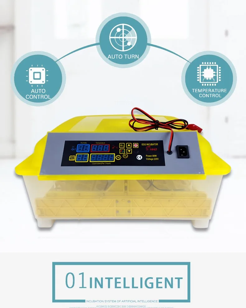 HHD full automatic chicken egg incubator in uae for sale 48 eggs 12v 220v incubator