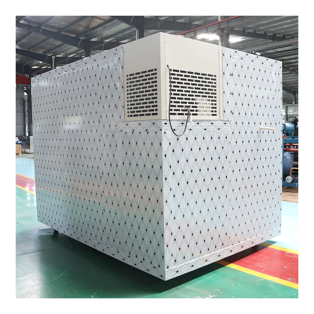 Wholesale customization container freezer cold room fish meat freezer
