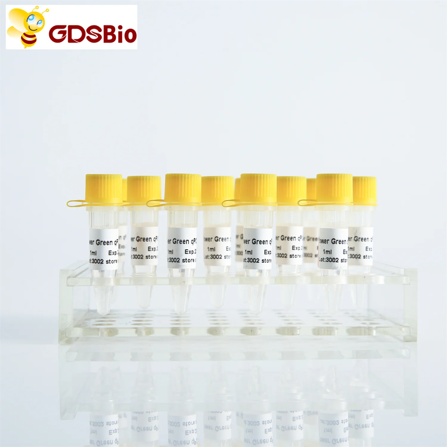 Power SYBR Green qPCR Mix, real time pcr, hotstart DNA Taq enzyme P2101/P2102