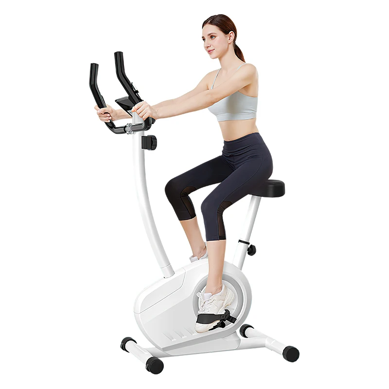 Home Magnetic Control Super Silent Indoor Cycling Sports Equipment Fitness Bike