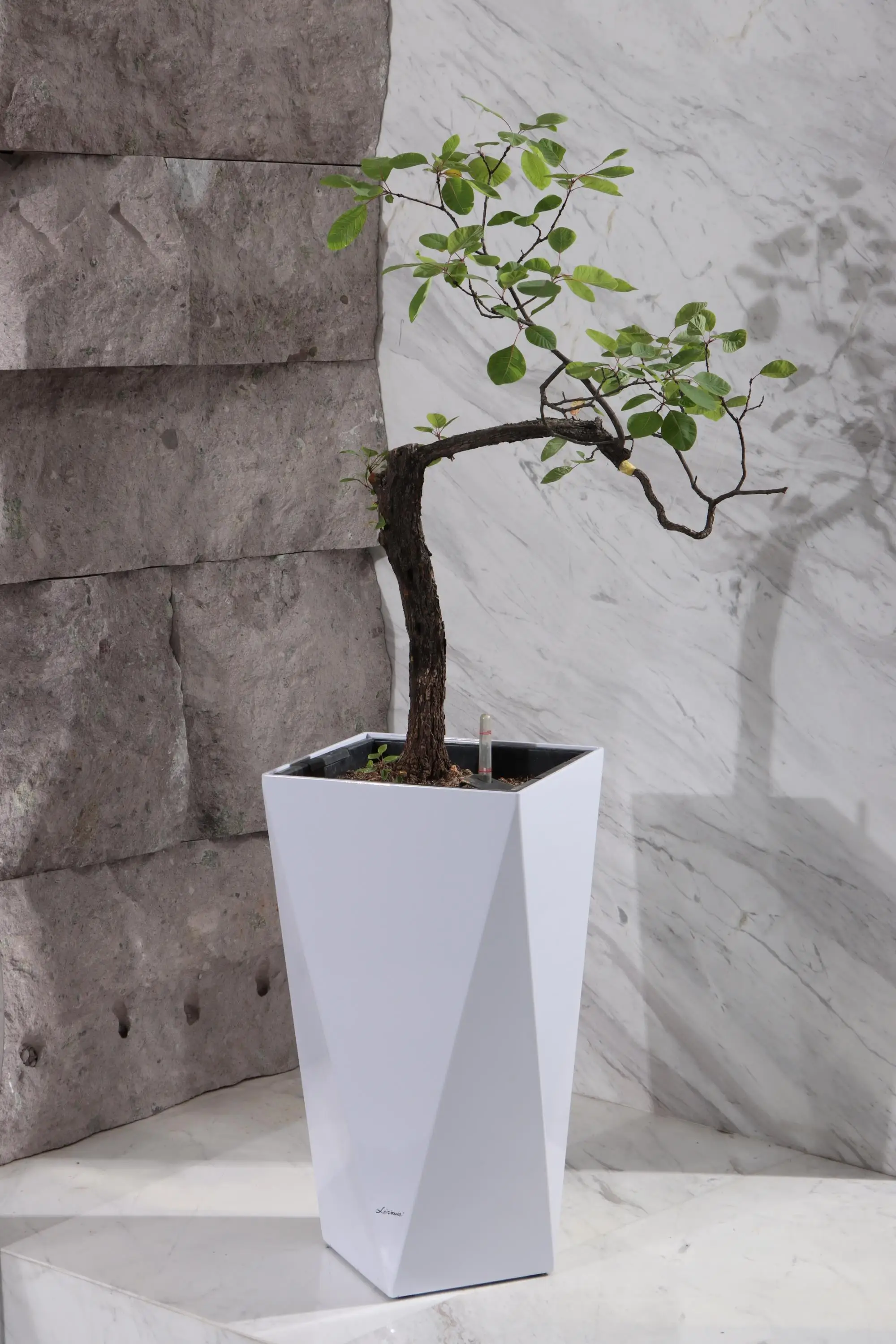 Thick and high large flowerpot plastic flowerpot indoor balcony Small/Medium for green plants Glazed flowerpot for green plants