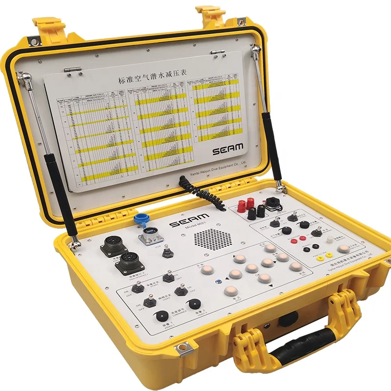 Professional Factory Manufacturer Diving CCTV Two Divers Underwater Video System