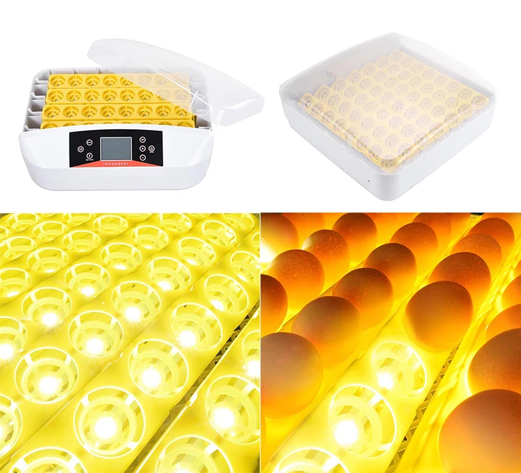 HHD Fully Automnatc 42S Temperature And Humidity Sensor For Incubator