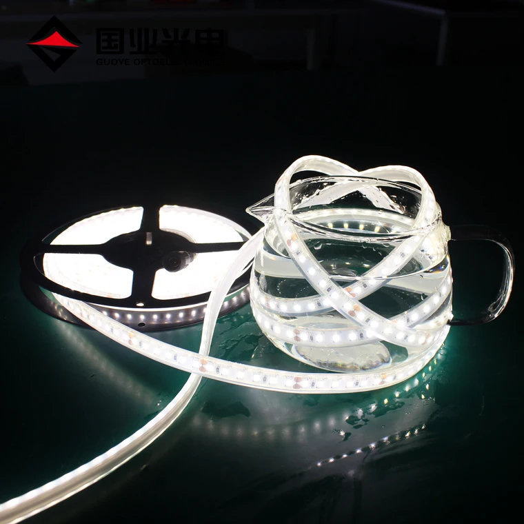 Manufacturer 24v aquaculture submersible ip68 swimming pool underwater led strip