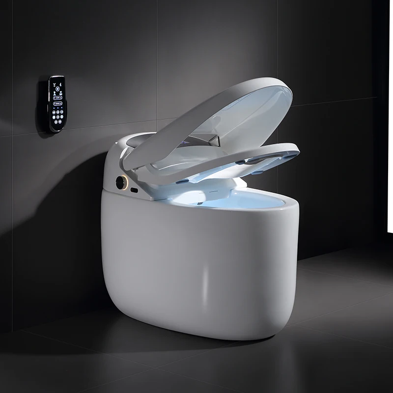 Wholesale Luxury Intelligent Modern Smart Bidet Toilet China Supplier