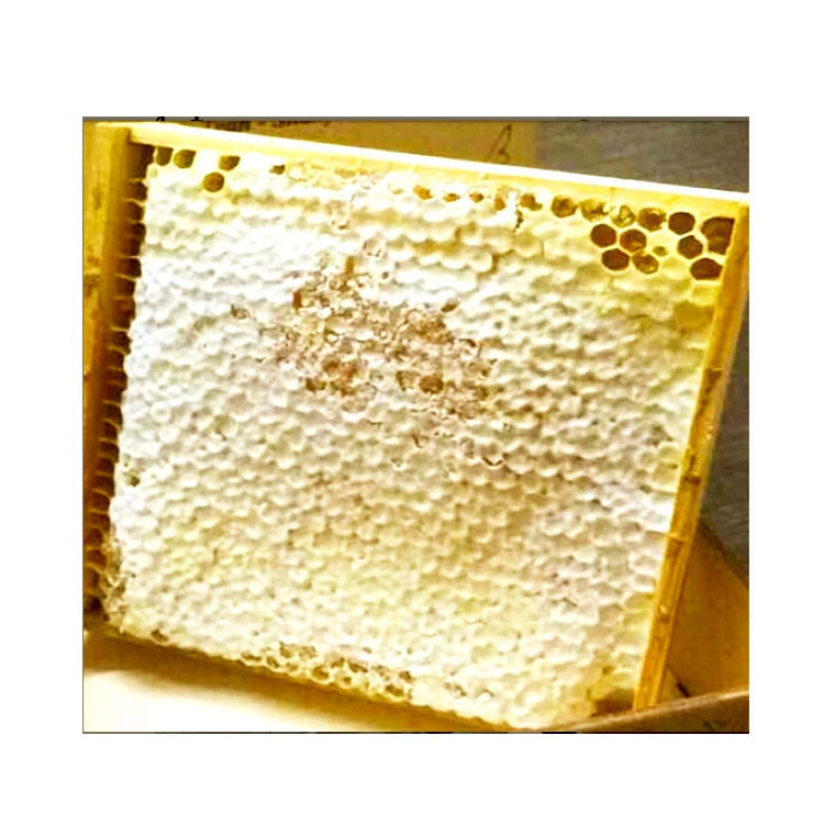 Factory Wholesale Price 100% Pure Natural Organic Buckwheat Bee Honey Raw Natural Organic Buckwheat Honey