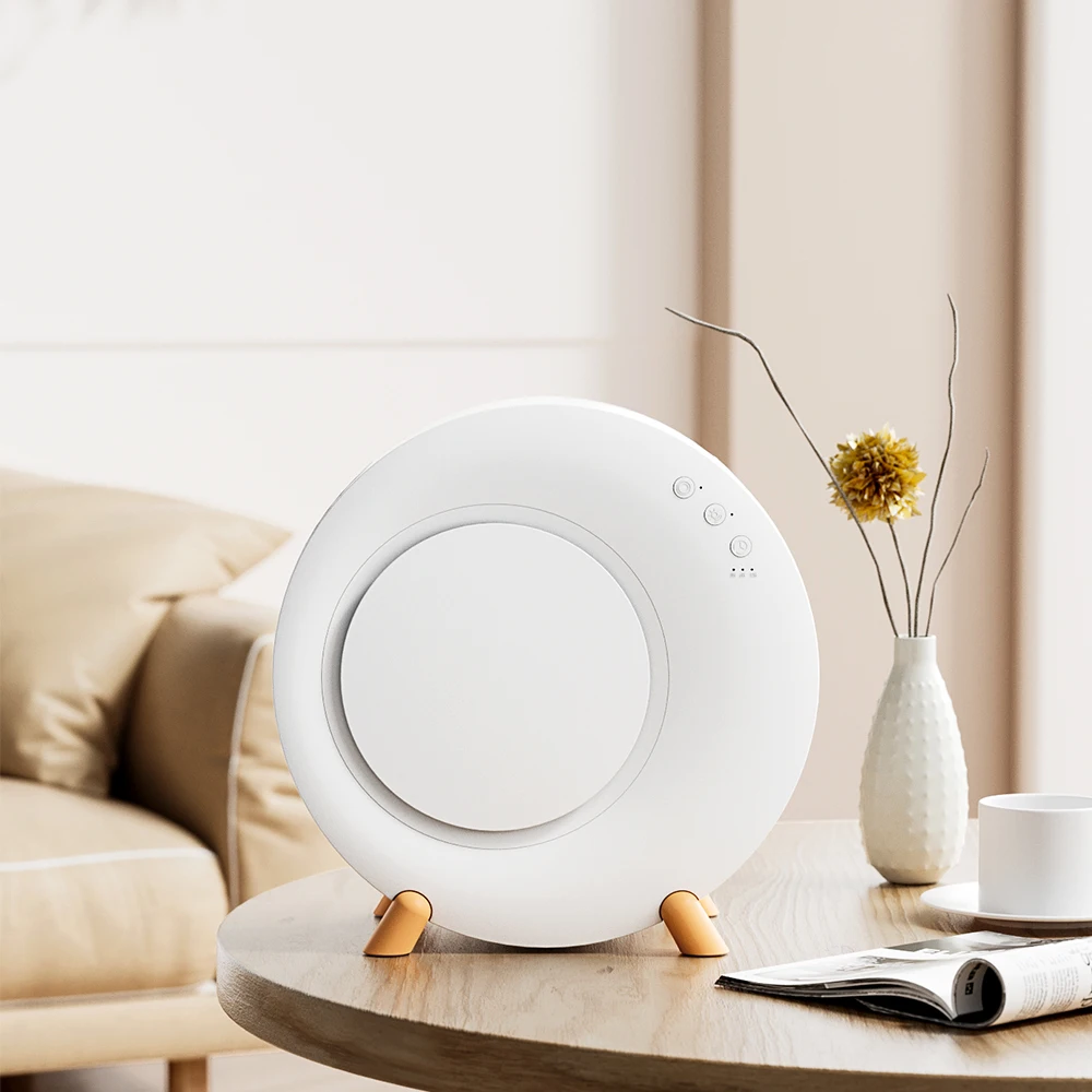 IMYCOO Hot Selling Portable Smart Wardrobe Dehumidifiers Mini Electrical Led Lights Air Dehumidifier With Timing Function