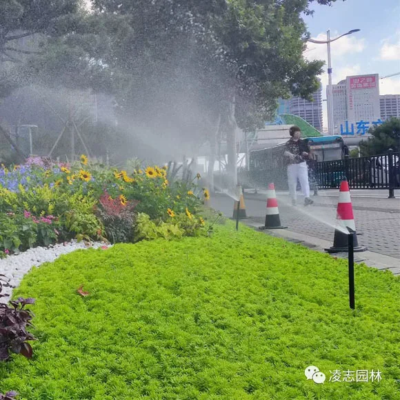 Greenfield 1 2-5 2 метров поливной разбрызгиватель для сада регулируемые насадки/узоры всплывающий