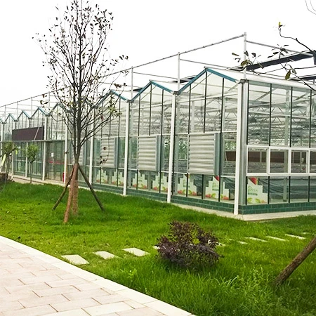 High Performance Mini Small Mushroom Greenhouse