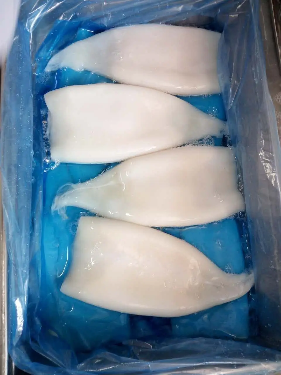  Замороженные морепродукты замороженная трубка Illex для
