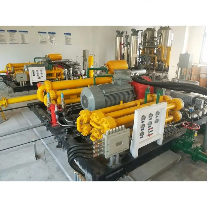 Factory Price OEM CNG Co2 Gas Compressor For Filling Station