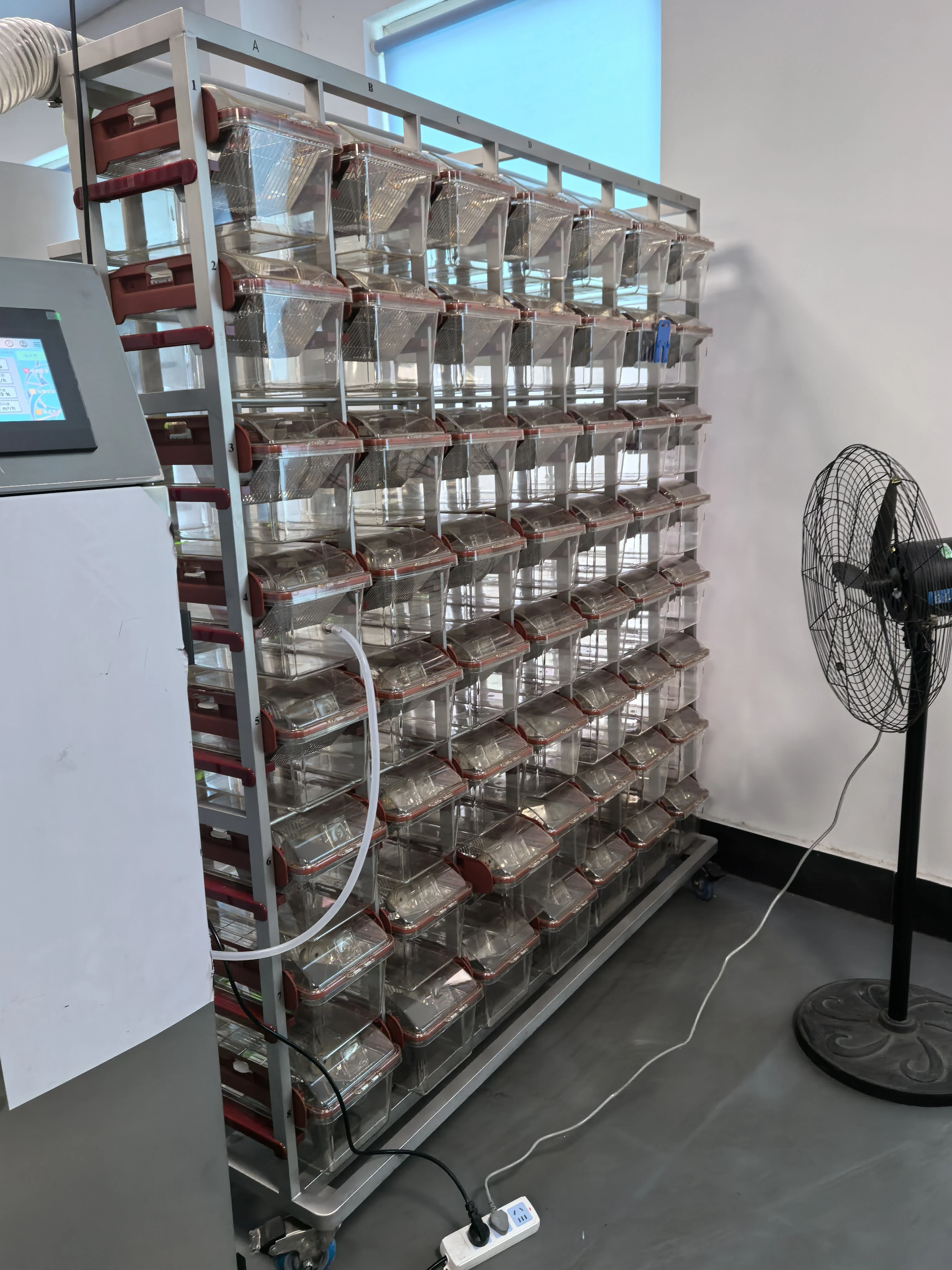 High Density Lab Mouse IVC Cages Automatic Touchscreen Control IVC System Single Double Sided Rack equipment