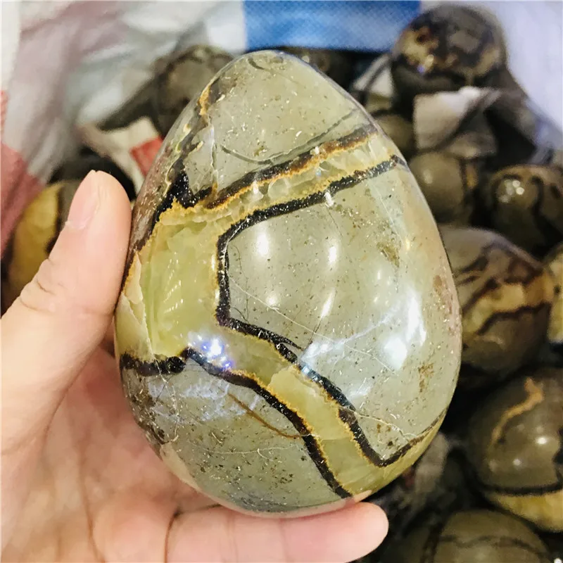Natural Septarian Dragon Crystal Egg Stone Turtle Carving for Decoration