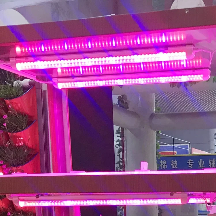 
New Product Ideas Vegetables Plant Nursery Tray led lamp Garden Greenhouse Grow Vertical cabinet Hydroponic System Grow Box 