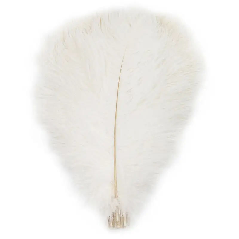 20-25CM Natural Dyeable Ostrich Feather Mulity Color Feather For Dress
