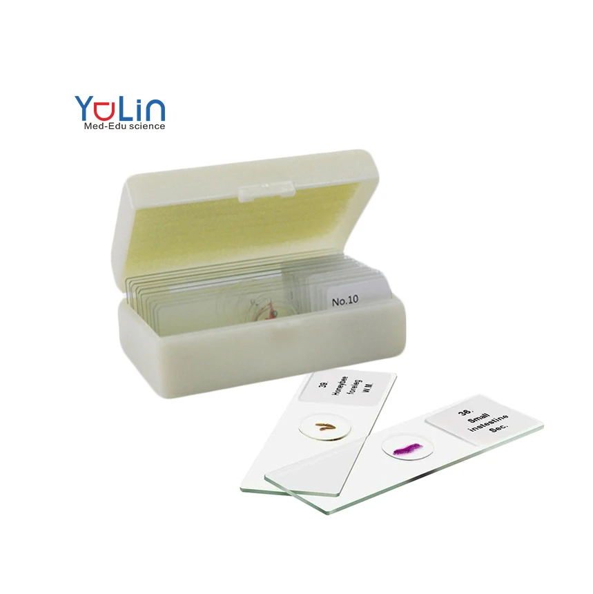 Biological Microscopes Slides Middle School Student Gift Teaching Resource 10 pcs Set Zoology Prepared Slides