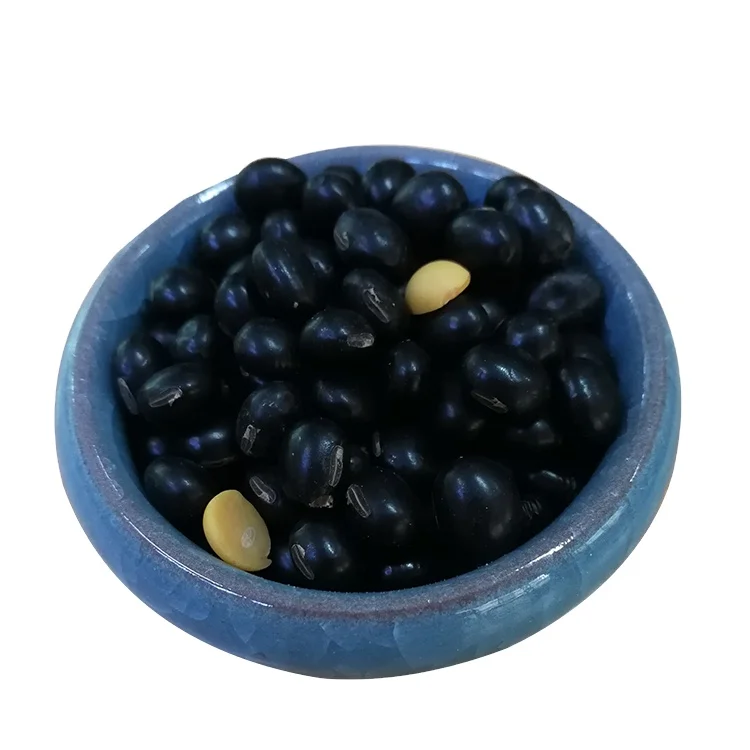 China best price black bean soybean price
