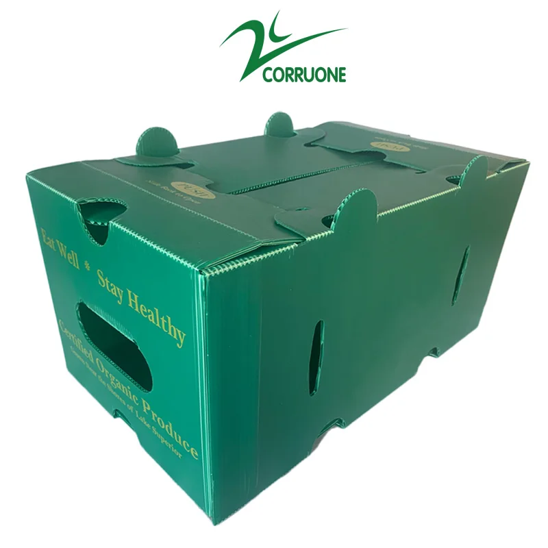 Hot Selling Custom Waterproof Stand Foldable Moving Hard Corrugated Plastic Egg Storage Turnover Drawers Boxes