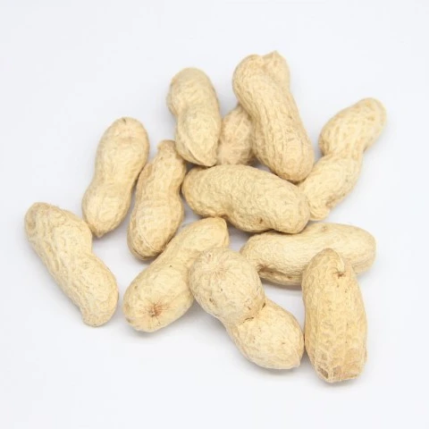 Ground Nut red skin Peanut,Raw Shelled Peanut,Fresh Peanuts