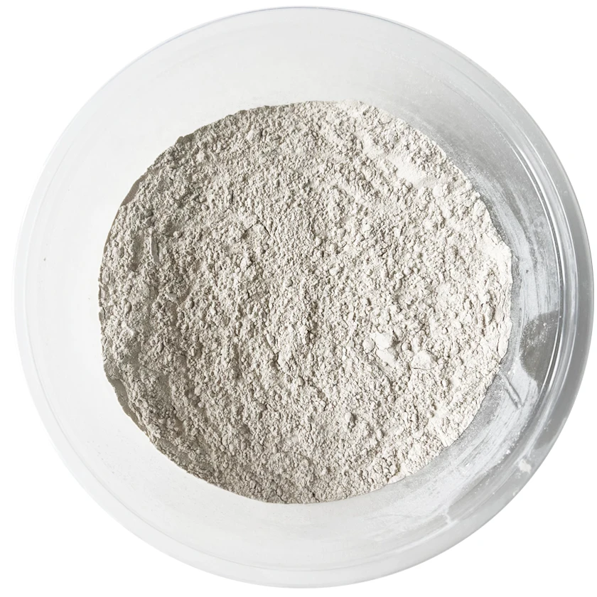 montmorillonite powder