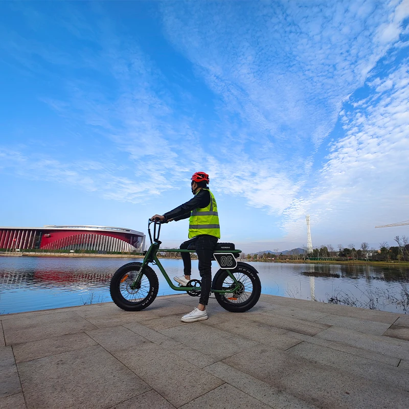 super Ebike fat tire electric bike 73 e mountainbike mtb bici electrica snow e bike 25km/h load children