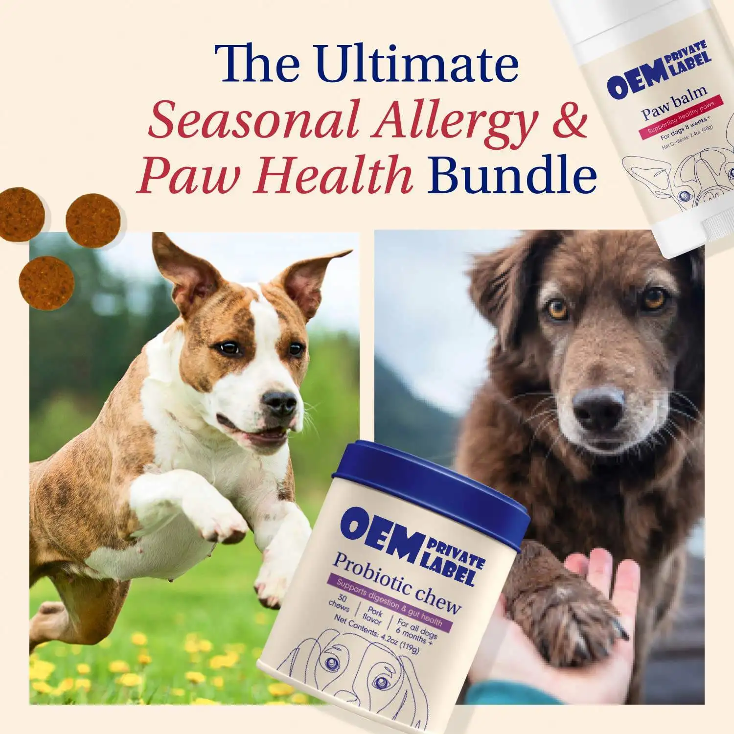 OEM Dog Probiotics for Gut Health Seasonal Allergies Digestive Support Probiotics Chews