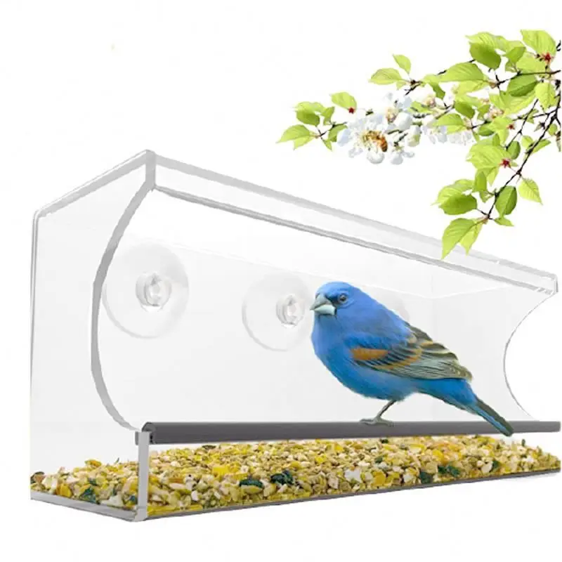 Outdoors Large Acrylic Strong Removable Suction Cup Mounted Bird Feeder  Best See Thru Feeder for Bird Watching