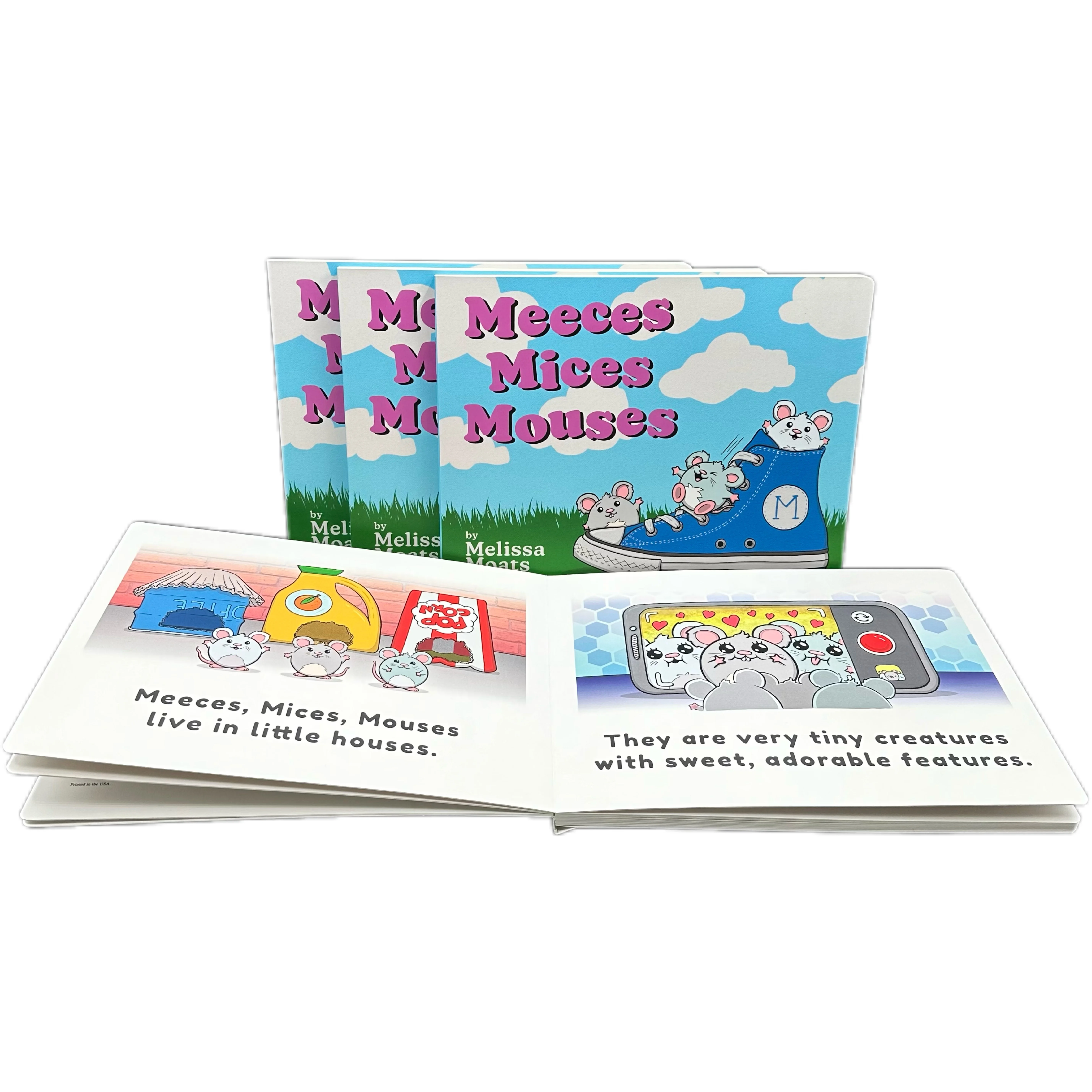 board book-2