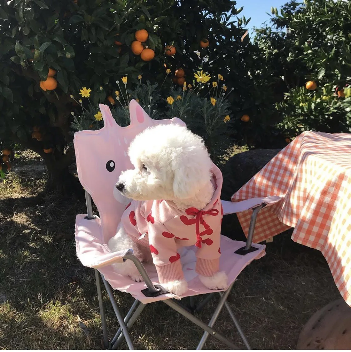 JXANRY Dog Heart Print Hoodie Autumn Winter Pet Clothes Japan Fashion Luxury Dog Coat