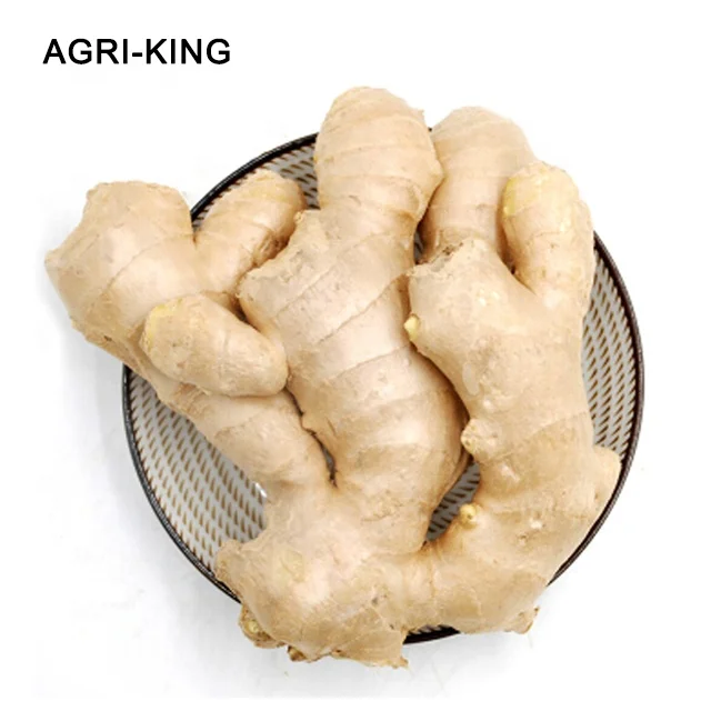 New fresh ginger for sale good price