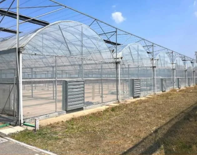 Low Cost Factory Direct Selling Hot-Dip Galvanized steel Greenhouse Frame Agricultural Green House