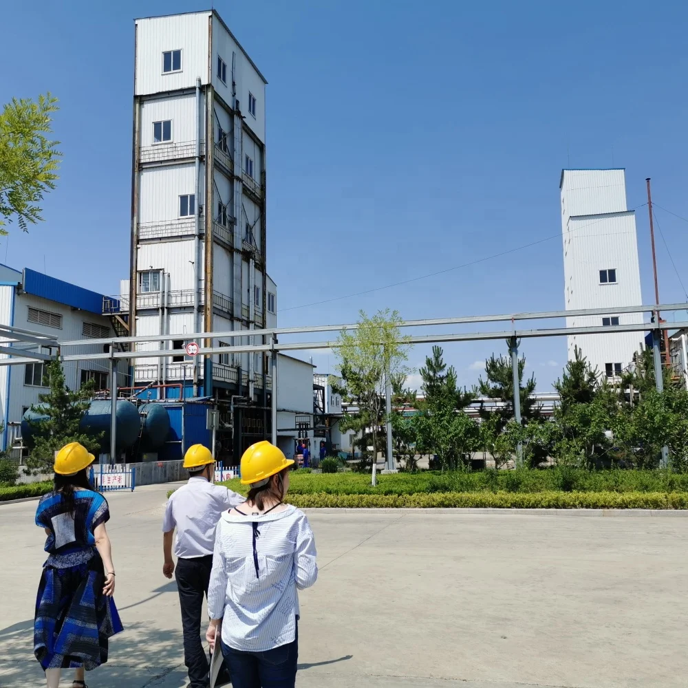 
2-(Dimethylamino)ethyl methacrylate CAS 2867-47-2 