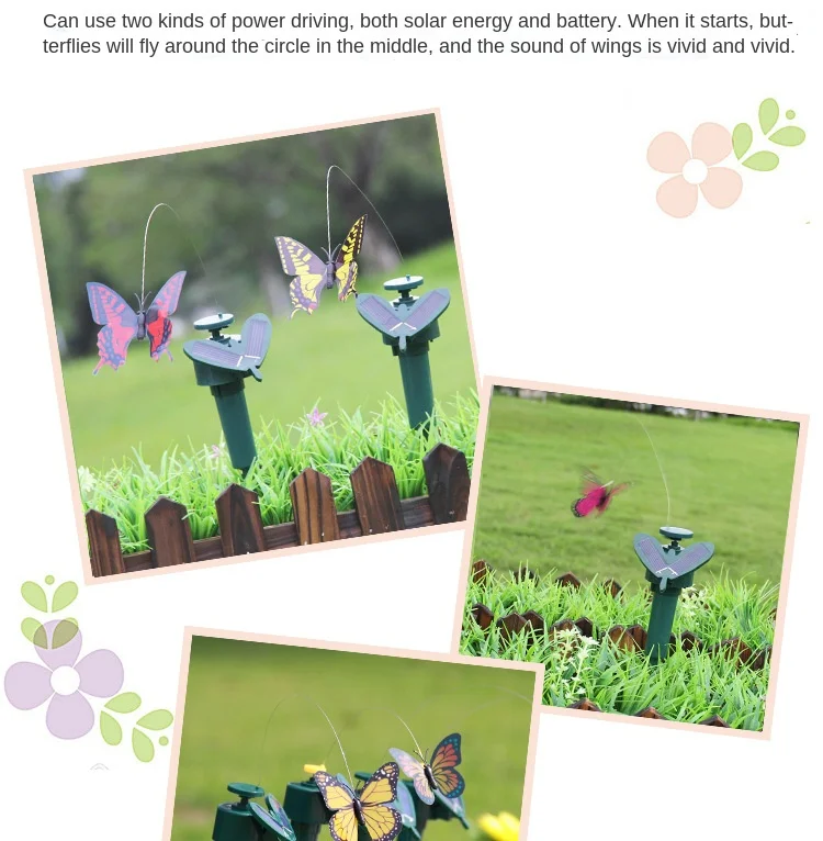 Butterfly details page_08