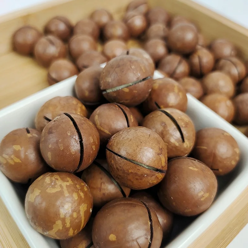 Macadamia Nuts Roasted and Cracked 22mm--25mm Nutritious Direct-Eating Snack Wholesale from China .