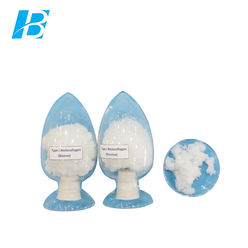 Type 1 Medical Grade Collagen Powder