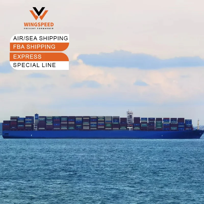 DDU Shipping Agent FBA Services From China Shandong to Mexico/UAE Dubai/Australia Sydney