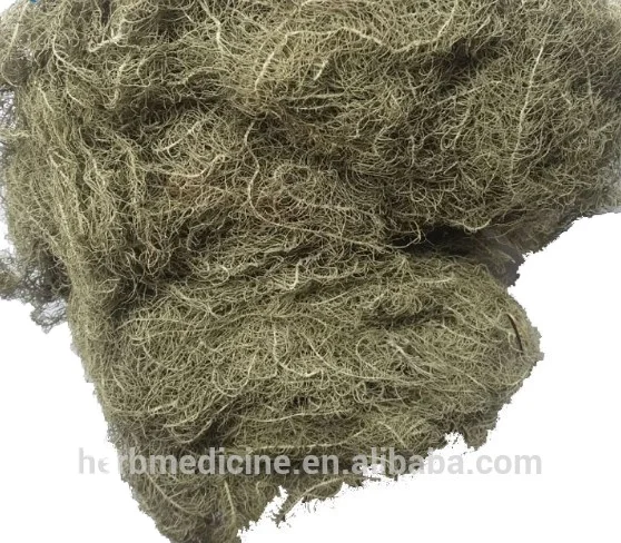 
Dried wild natural Usnea diffracta Vain whole parts 