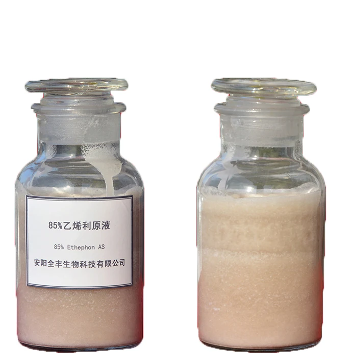 Argochem PGR растительный гормон pisang pematangan ethephon 40 sl 85% TC 75% SL для фруктов бананов резины манго