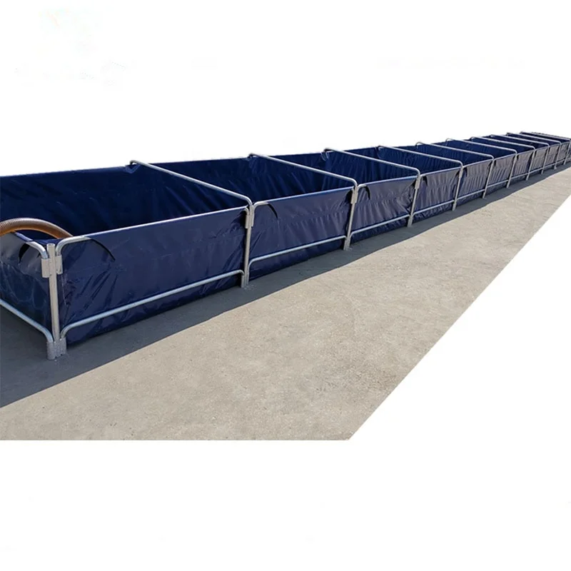 Indoor RAS system with Fish Pond Integration Recirculating Aquaculture System for Sale Fish Farming Equipments  Fish Pond